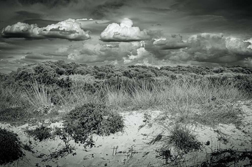 Thomas Jahn Photography