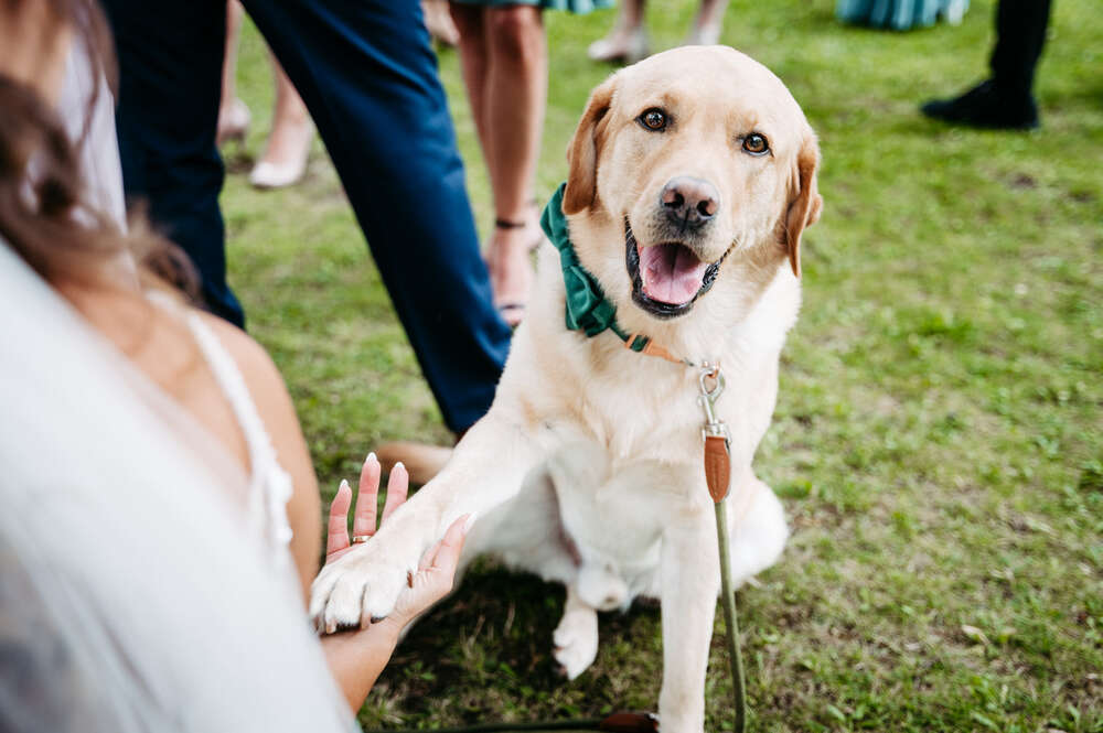 Tobias Schnurr Hochzeitsfotograf (Tobias Schnurr Hochzeitsfotograf)