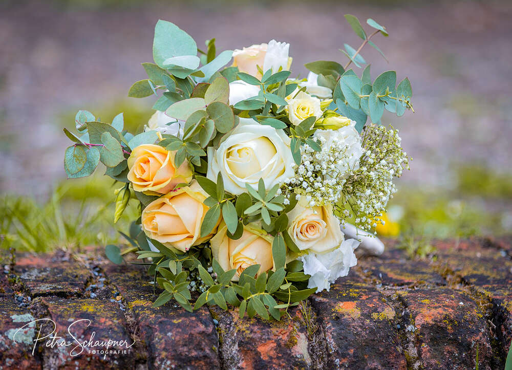 fotografie petra schaupner (fotografie petra schaupner)