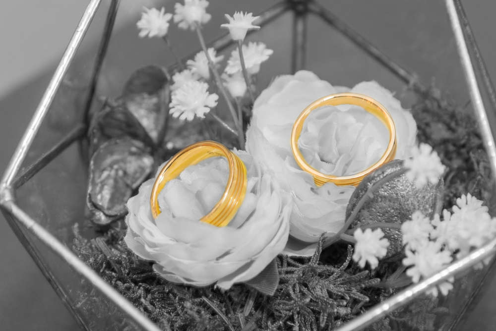 Bena Fotografie eK - Meisterbetrieb