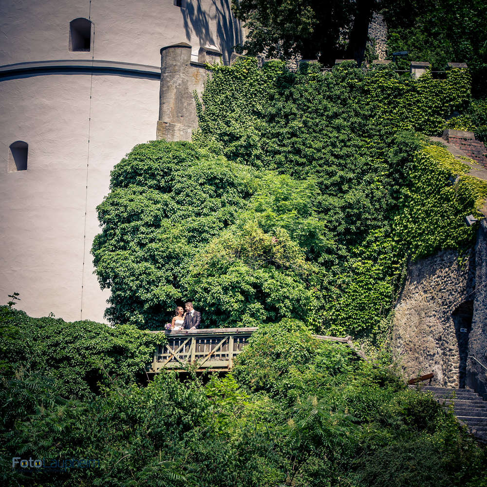 Foto Laupheim (Foto Laupheim)