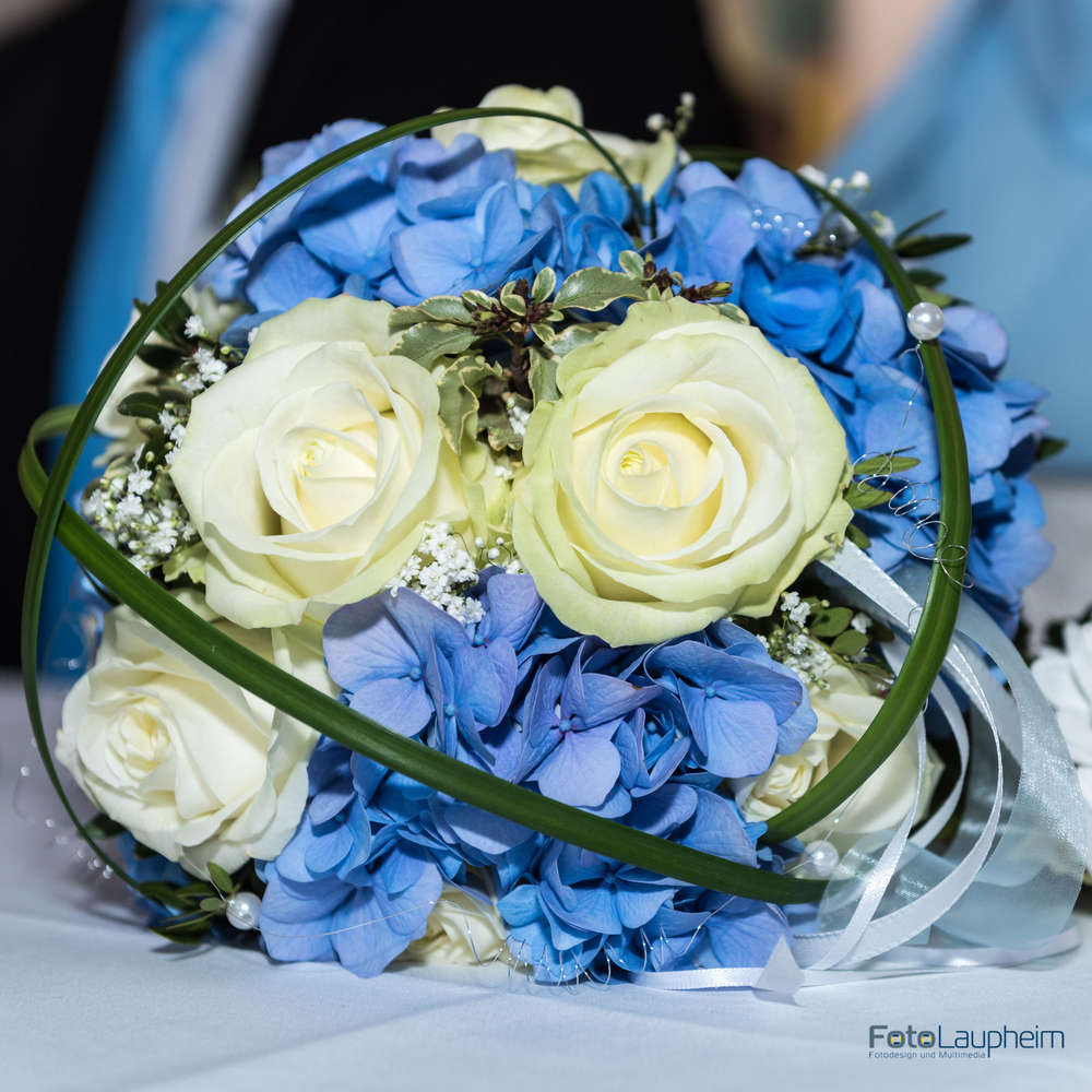 Foto Laupheim (Foto Laupheim)