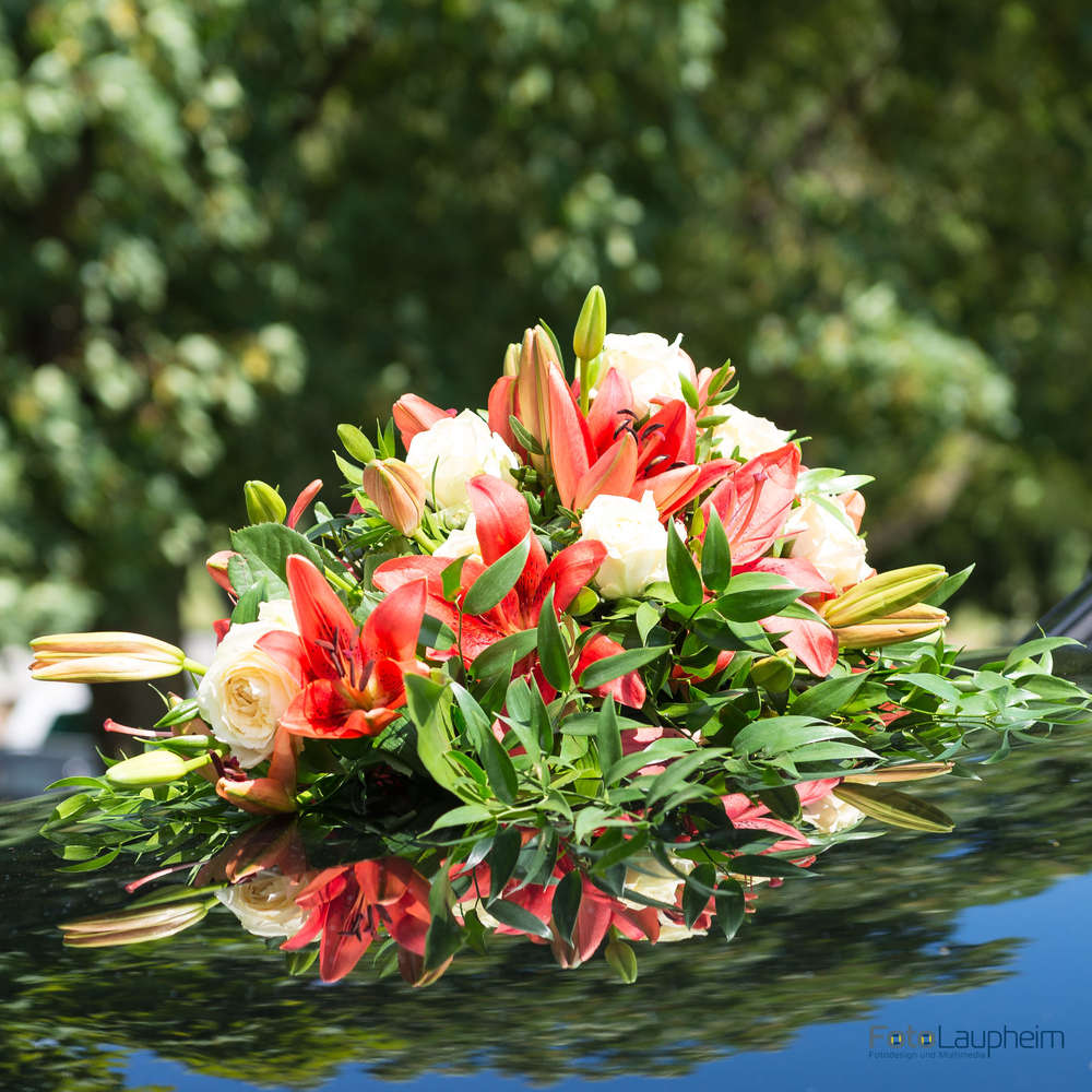 Foto Laupheim (Foto Laupheim)