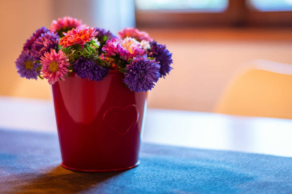 Alpenchalet Sachrang (Gipfelfieber Studio)