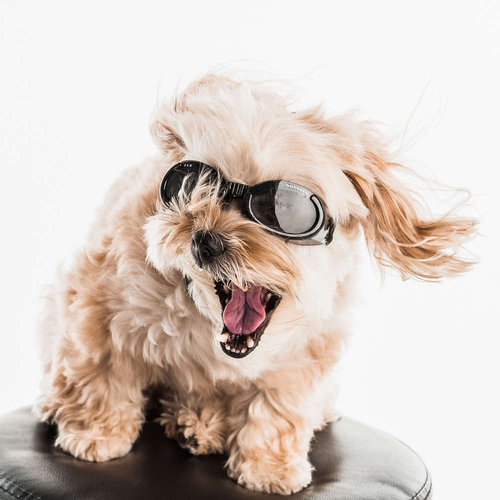 Foto Wöhrstein OHG (Foto Wöhrstein OHG)