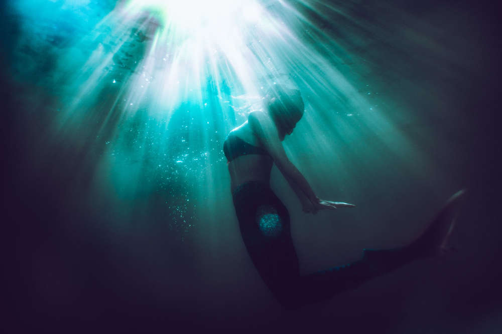 SW PHOTOGRAPHIE (SW PHOTOGRAPHIE)