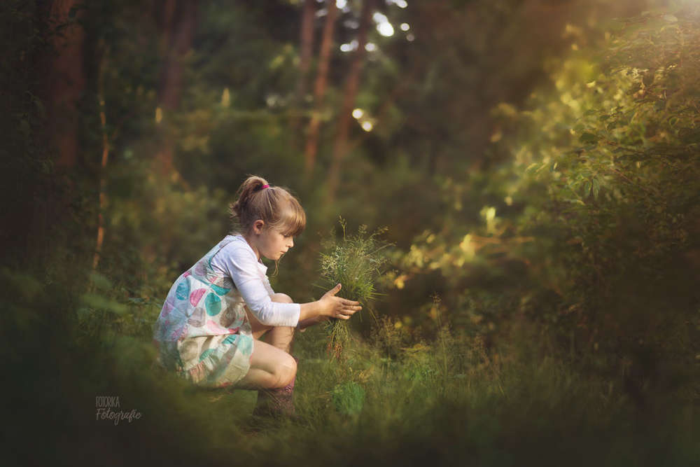 Sommezeit (fotorika)