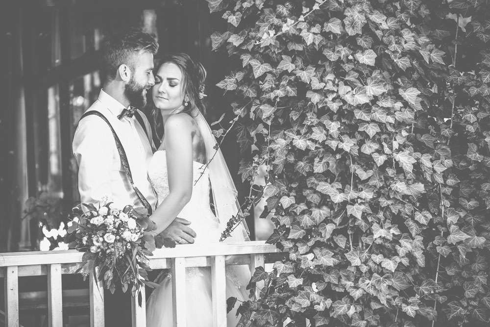 Foto-Levis (Foto-Levis)