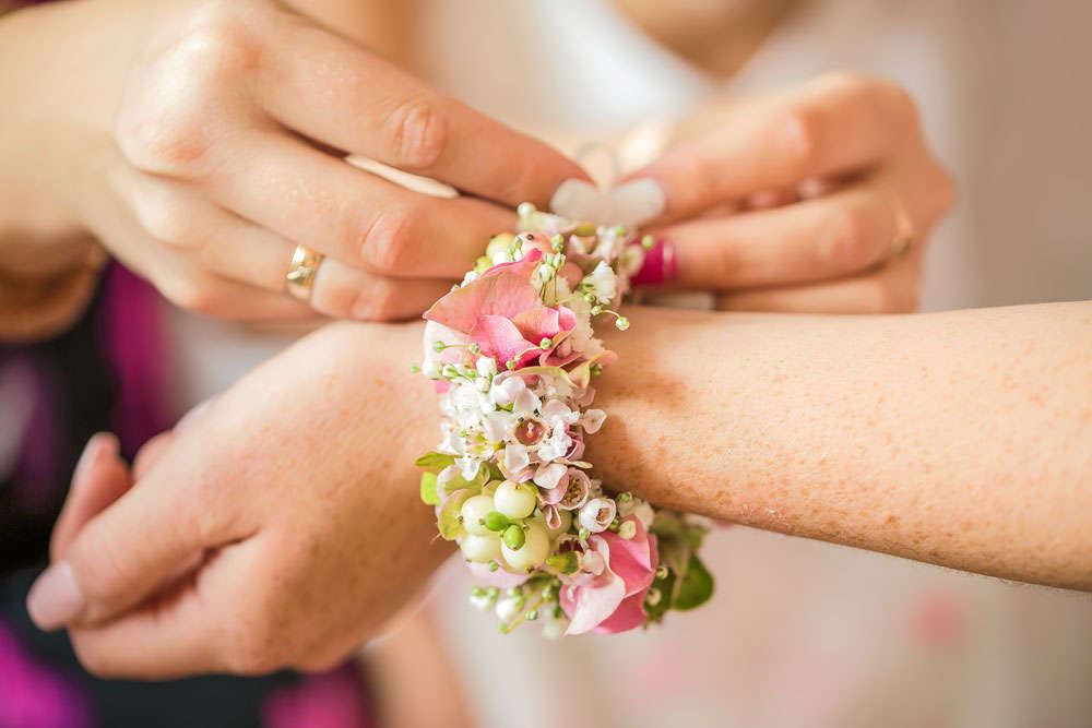 Foto-Levis (Foto-Levis)