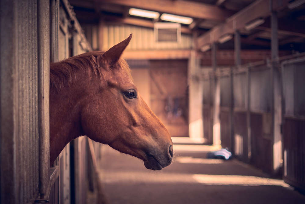 Clearvision Photography