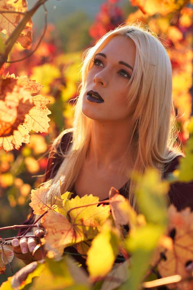 Stefan Zimmer (Stefan Zimmer)