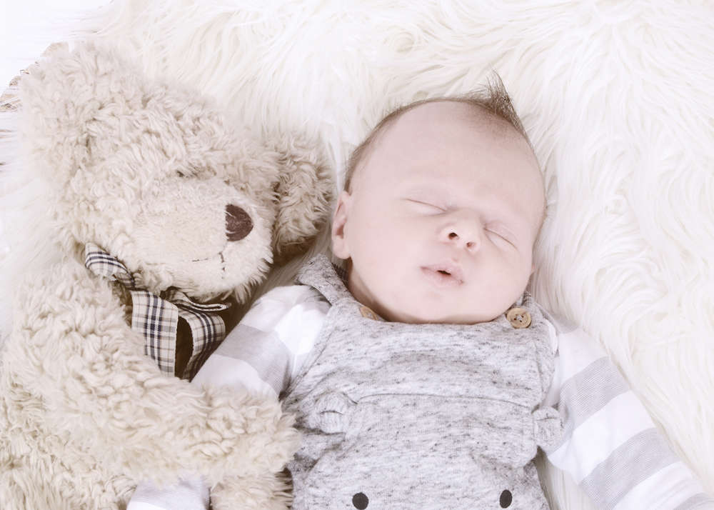 FotoStudio Klaus Stelzner (FotoStudio Klaus Stelzner)