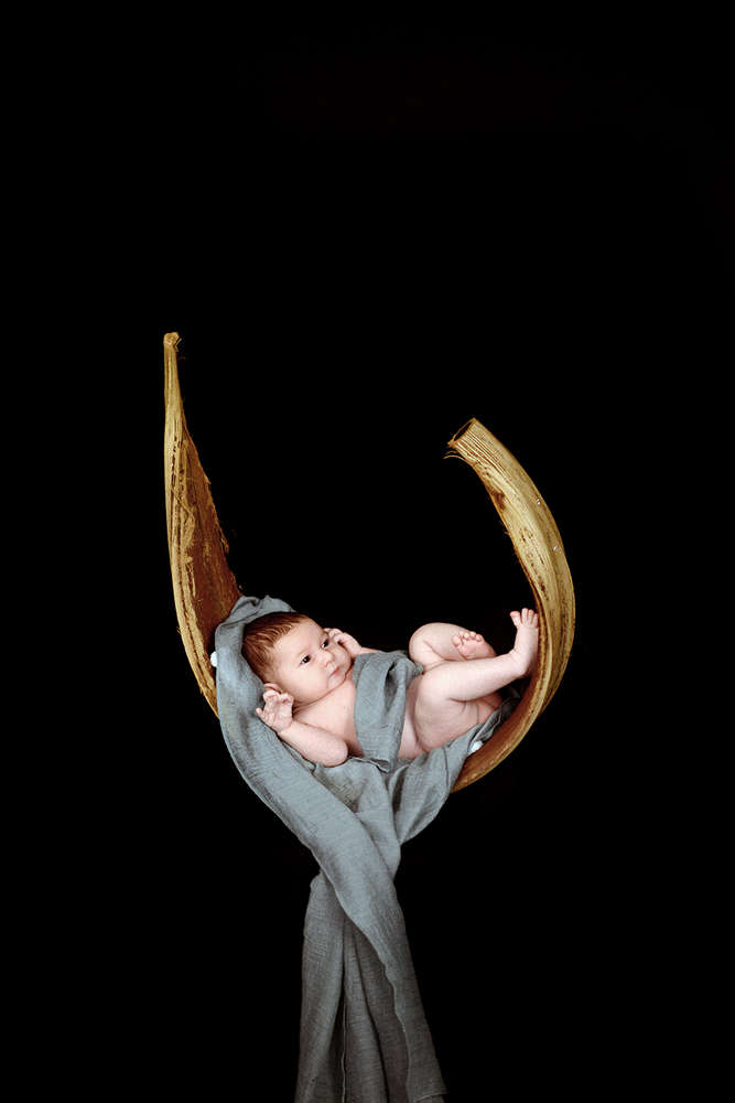 FotoStudio Klaus Stelzner (FotoStudio Klaus Stelzner)