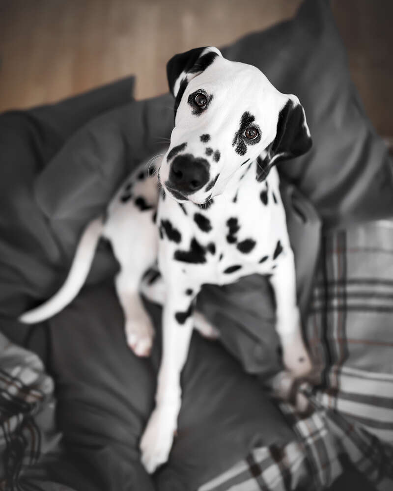 Jacqueline Anders (Jacqueline Anders)