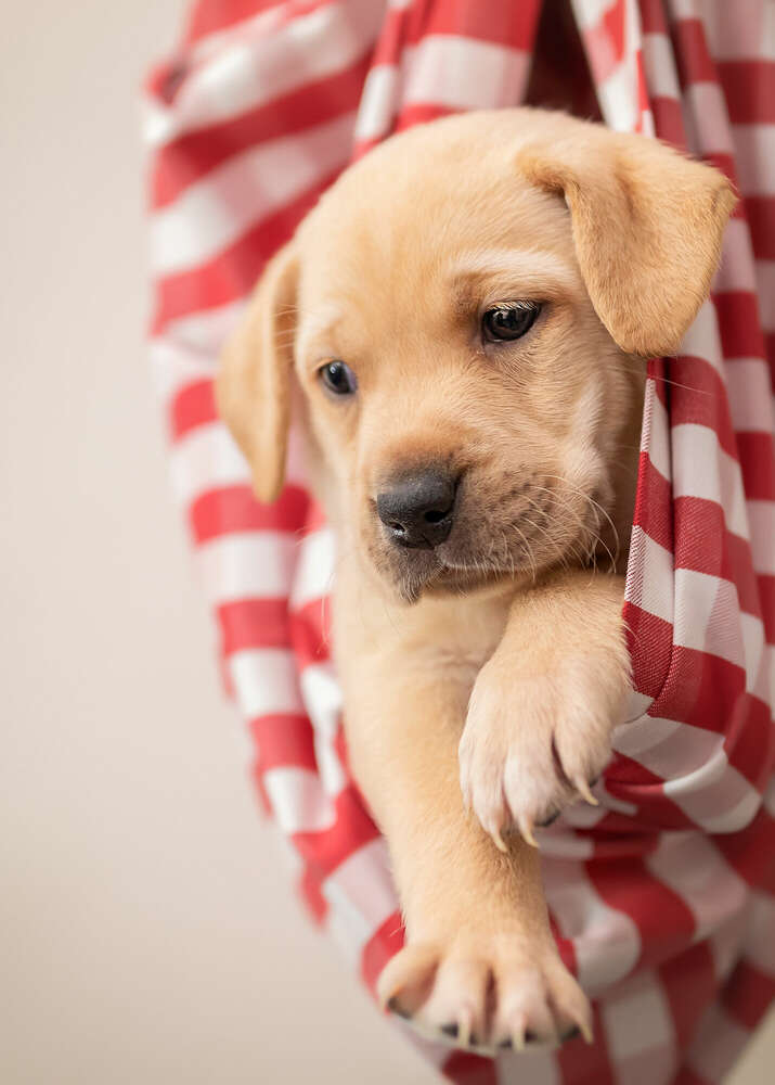 Jacqueline Anders (Jacqueline Anders)