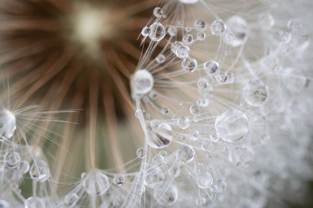 Nadine Neukirchner Photography