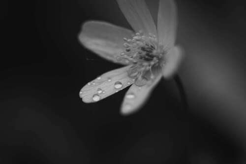 Nadine Neukirchner Photography