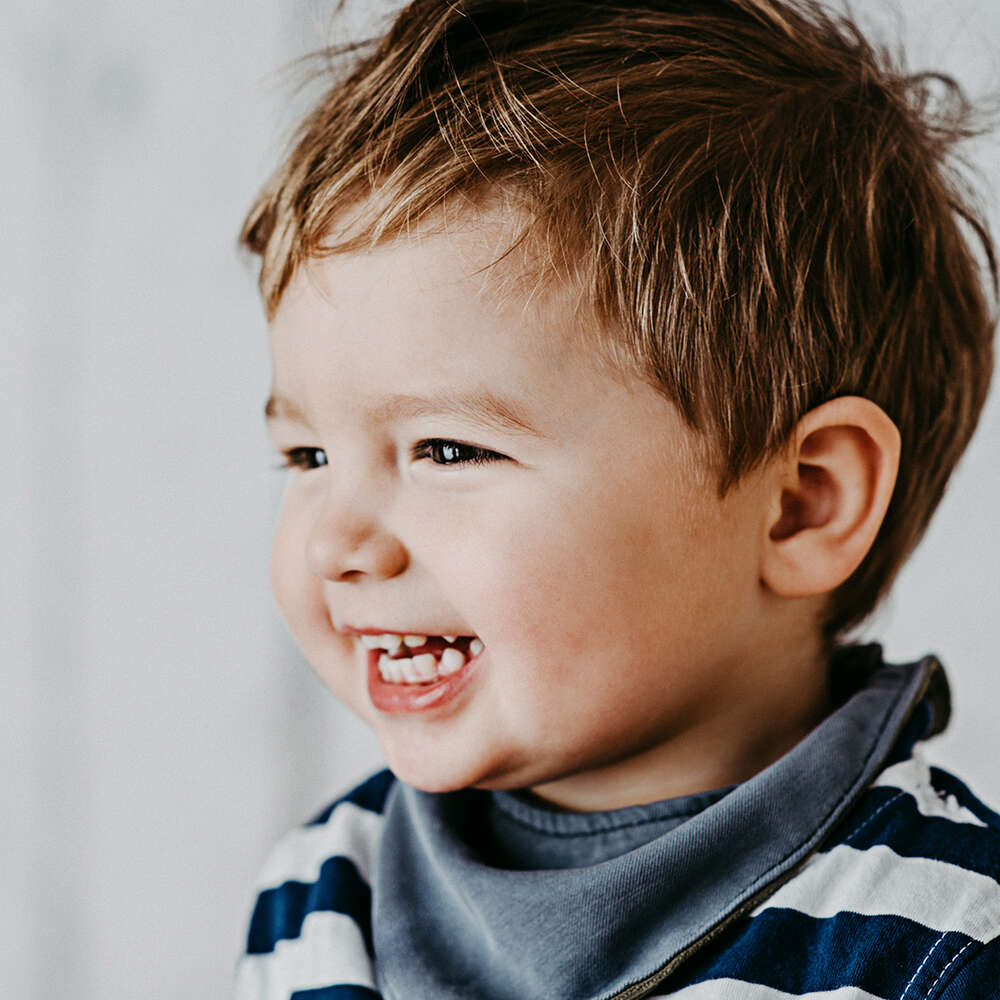 Lichtbildwerkstatt (Lichtbildwerkstatt)