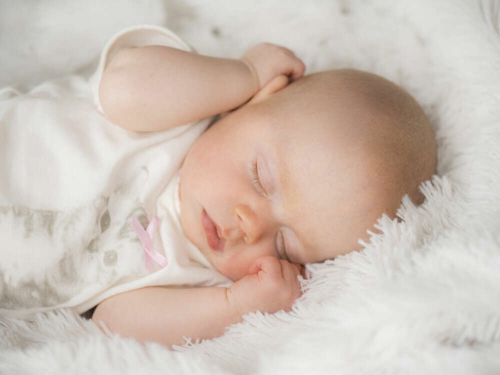 Lichtbildwerkstatt (Lichtbildwerkstatt)