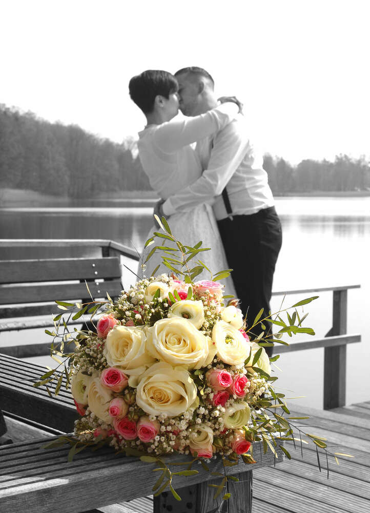 Hokus-Focus (Hokus-Focus)