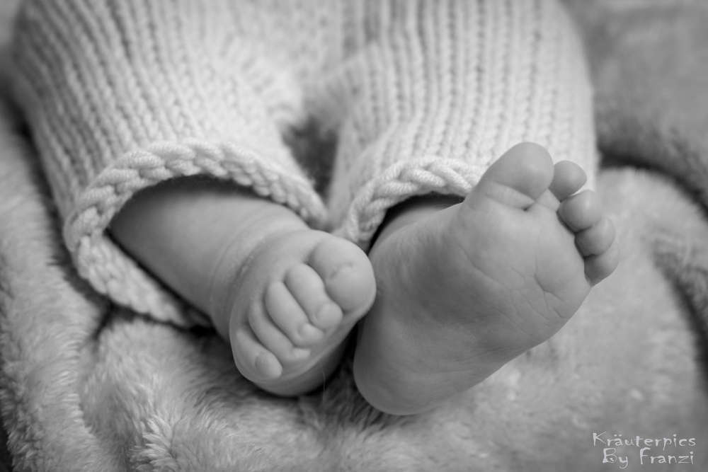 Newborn / Baby (Kräuterpics by Franzi)
