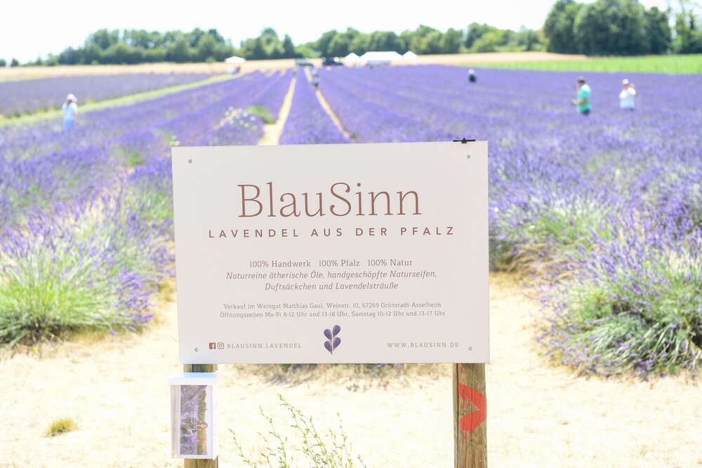 Sabine Schreiber Fotografie