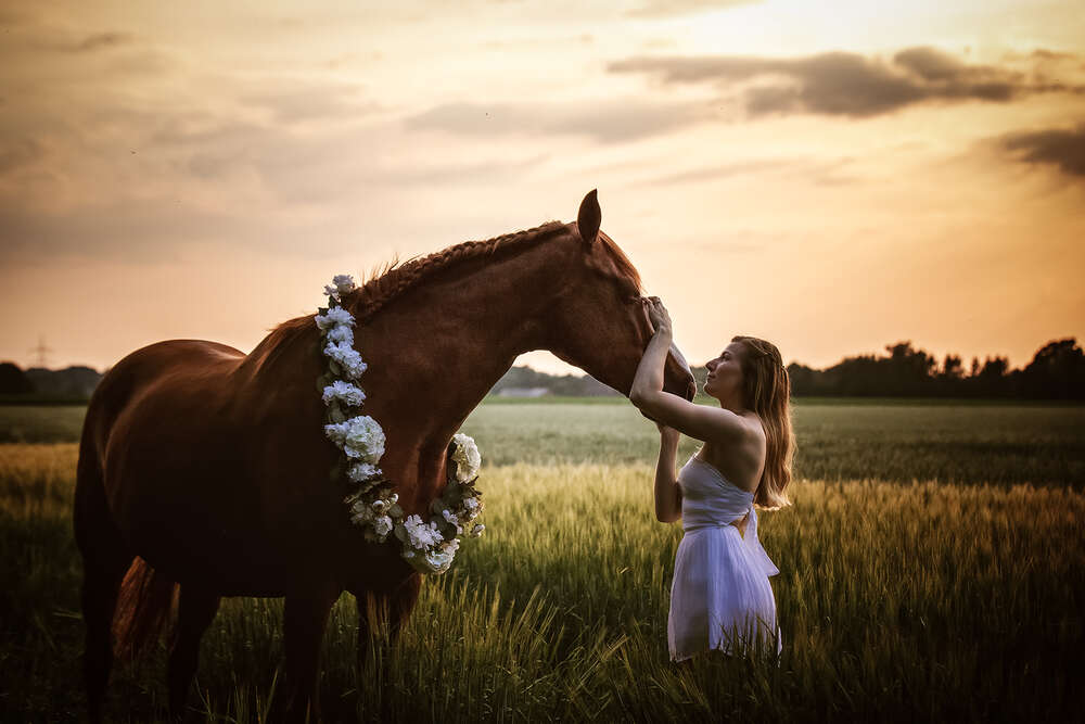 Zauberseelen Fotografie Birte Scheel