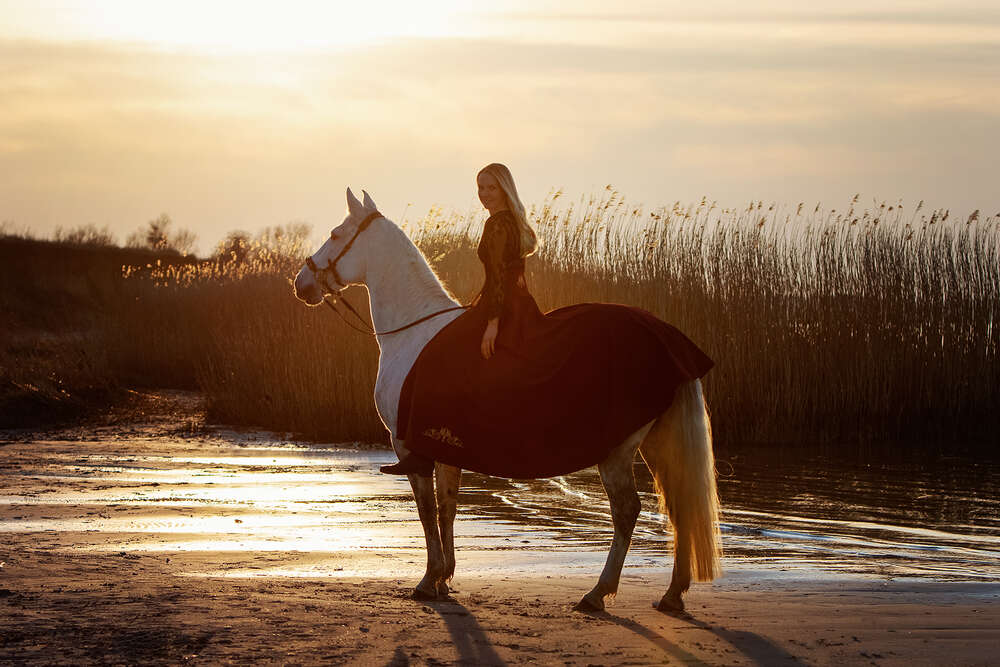 Zauberseelen Fotografie Birte Scheel