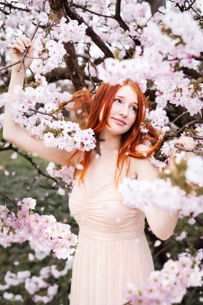 Kirschblüten-Traum (Fotografie mit Magie)