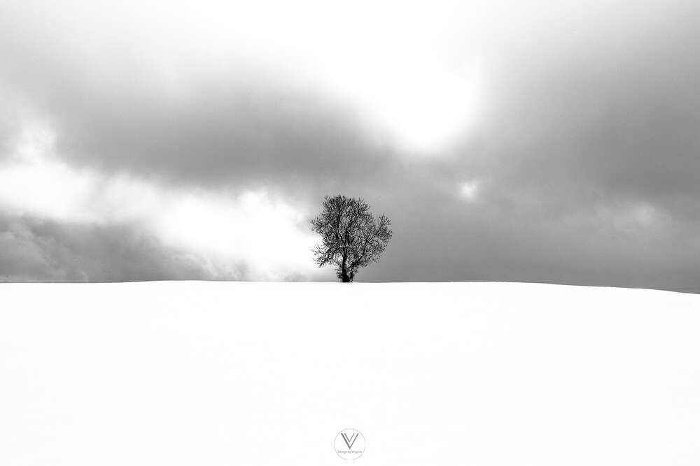 Alb-Minimalismus (Design by Virginie)