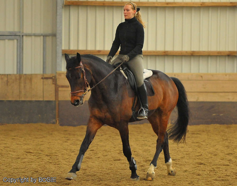 BOGIE - Photography & Videography