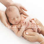 Nesthäkchen Fotografie