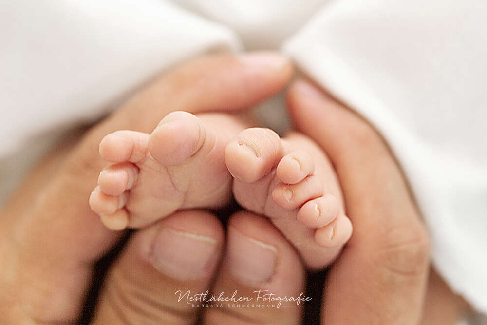 Neugeborenenfotografie (Nesthäkchen Fotografie)
