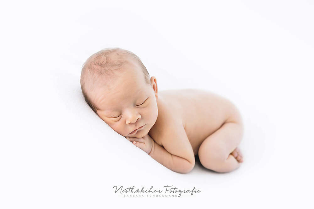 Nesthäkchen Fotografie