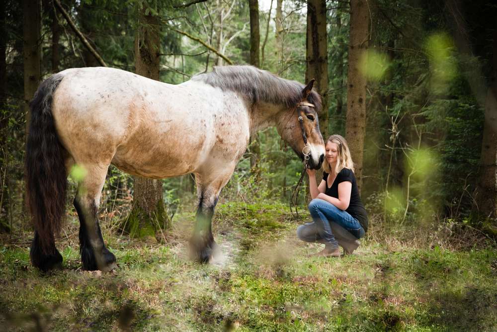 Pferdeshooting (Eugen Bauer Photographie)