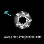 fotostudio rhintl.ch