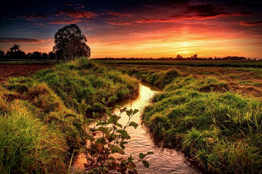 Fotodesign Lothar Drechsel (Fotodesign Lothar Drechsel)