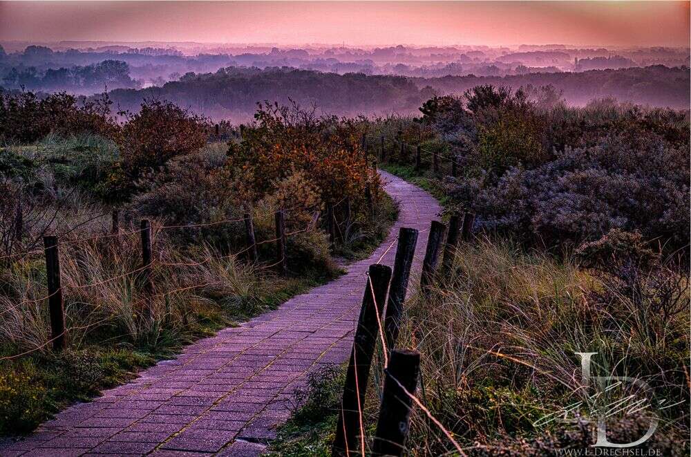 Fotodesign Lothar Drechsel (Fotodesign Lothar Drechsel)