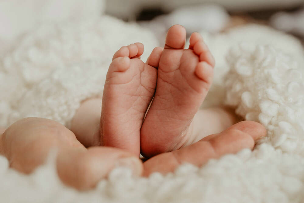 Family (Nicole Grasmann Photography)