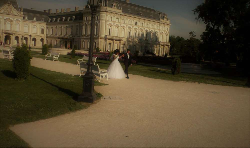 Eine Traumhochzeit im Schloss (Hochzeitsfotograf & Videograf Scholz)