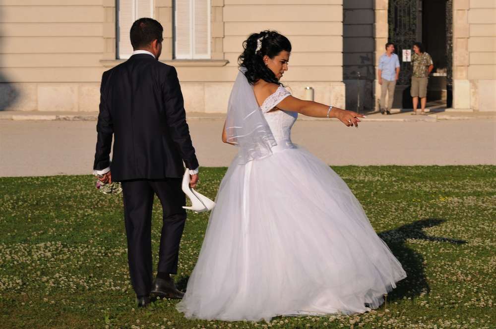 Hochzeitsfotograf & Videograf Scholz (Hochzeitsfotograf & Videograf Scholz)