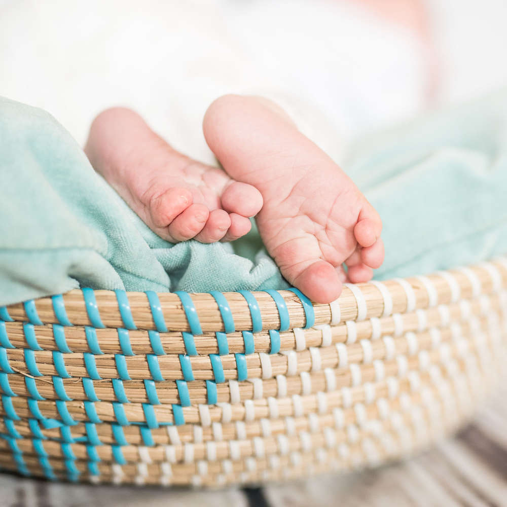 Knirpsknips Magdalena Hilling Fotografie (Knirpsknips Magdalena Hilling Fotografie)