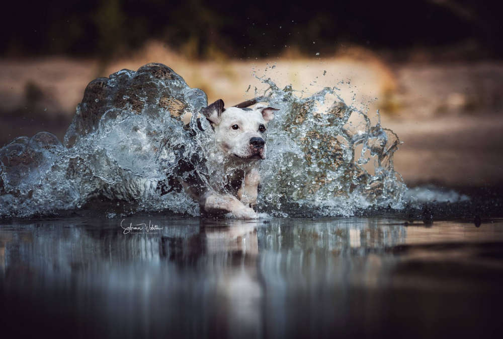 Sabrina Wobith Photography - FotosVonMaja