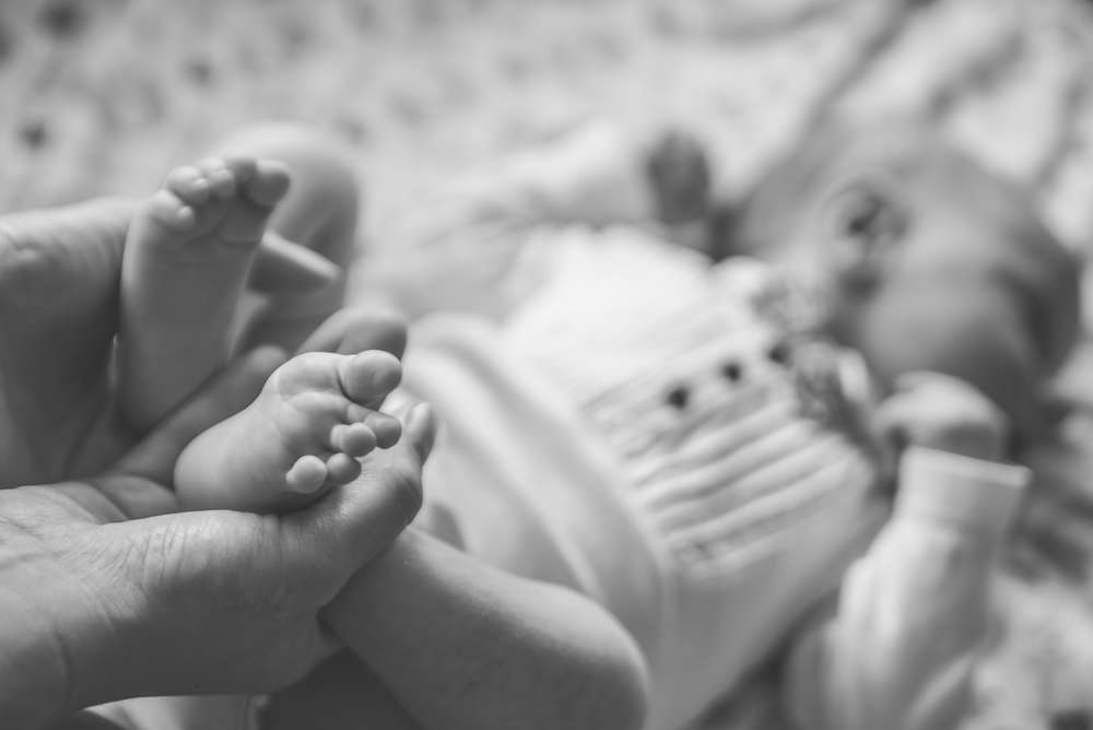 Thomas Hendele Fotografie (Thomas Hendele Fotografie)