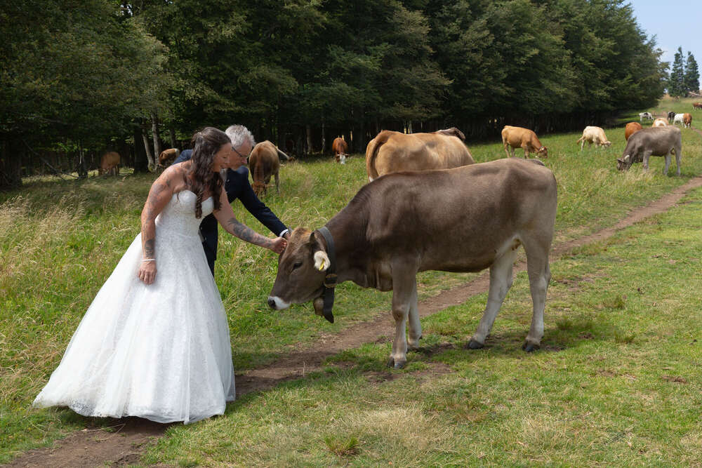 Fotostudio Zedler (Fotostudio Zedler)