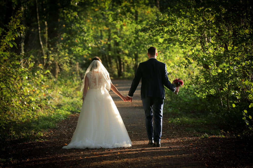 Fotostudio Zedler (Fotostudio Zedler)