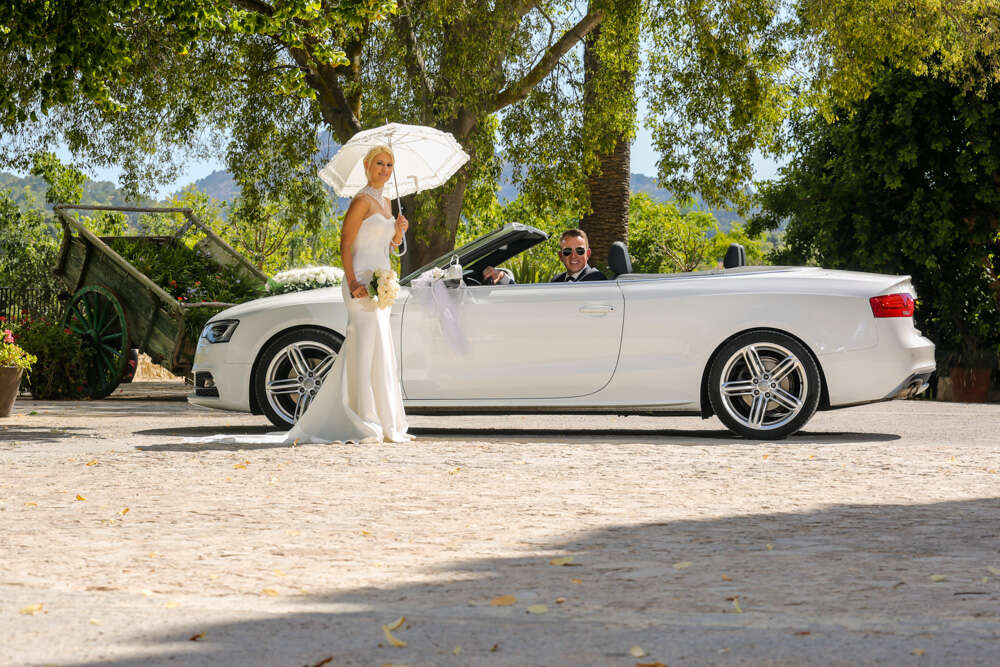 Fotostudio Zedler (Fotostudio Zedler)