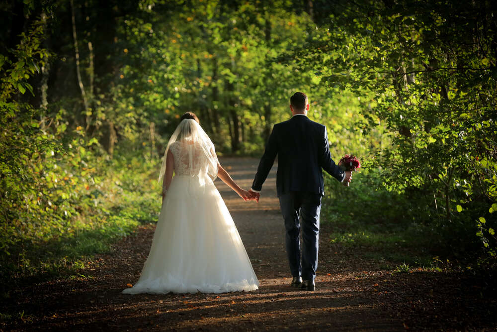 Fotostudio Zedler (Fotostudio Zedler)