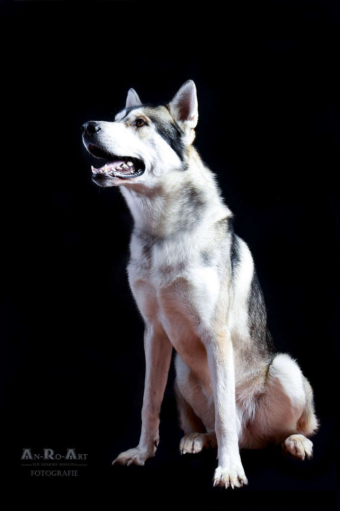 Asgard (An-Ro-Art Fotografie)