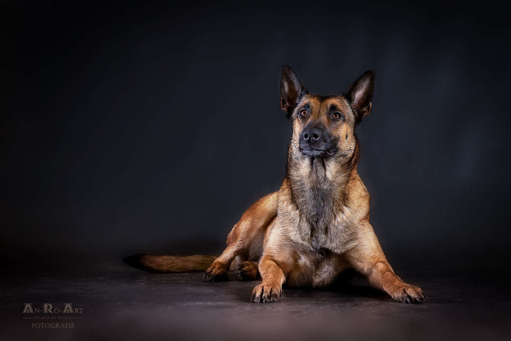 An-Ro-Art Fotografie (An-Ro-Art Fotografie)